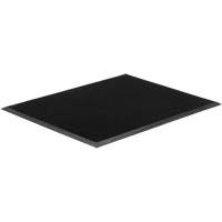 Tapis Gritstop Fingermat, Caoutchouc, Grattoir Type, Motif Textur&eacute;, 2' x 2-2/3', Noir Northern Industrial Supply Inc.