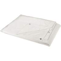 Tarp, Heavy-Duty, White, 8' x 6' x 6 mils Northern Industrial Supply Inc.