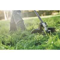 Accessoire coupe-bordure sans fil sans balai Max*, 17", &agrave; pile, 60 V Northern Industrial Supply Inc.
