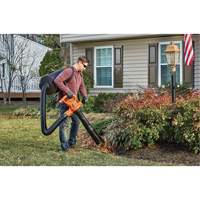 3-in-1 VacPack Leaf Blower/Vacuum/Mulcher, 250 MPH Output, Electric Northern Industrial Supply Inc.