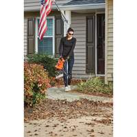 3-in-1 VacPack Leaf Blower/Vacuum/Mulcher, 250 MPH Output, Electric Northern Industrial Supply Inc.