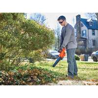 Leaf Blower, 180 MPH Output, Electric Northern Industrial Supply Inc.