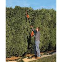 Ensemble de taille-haie sur perche sans fil Max* Northern Industrial Supply Inc.