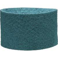 Courroie de conditionnement de surface Scotch-Brite Northern Industrial Supply Inc.