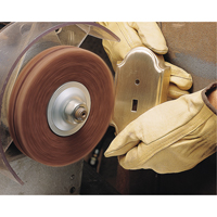 Scotch-Brite High Strength Discs (Aluminum Oxide), 6" Dia., Medium Grit, Aluminum Oxide Northern Industrial Supply Inc.