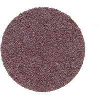 Surface Conditioning Disc, 1" Dia., P100 Grit, Aluminum Oxide Northern Industrial Supply Inc.