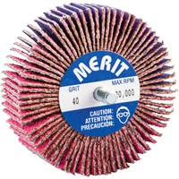 Threaded Mini Flap Wheel, Ceramic Alumina, 40 Grit, 3" x 1" x 1/4"-20 Northern Industrial Supply Inc.