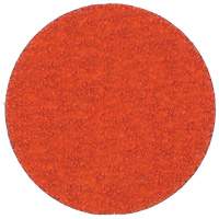 Blaze R980P Quick-Change Cloth Disc, 2" Dia., 60 Grit, Ceramic Alumina Northern Industrial Supply Inc.