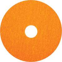 Disque en fibre Blaze F980, C&eacute;ramique d'alumine, 36, 5" Dia x 7/8" Arbre Northern Industrial Supply Inc.