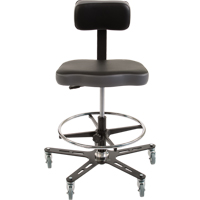 TF160 Industrial Grade Ergonomic Chair, Mobile, Adjustable Height, 300 lbs. Capacity Northern Industrial Supply Inc.