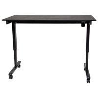 Adjustable Stand-Up Desk, Stand-Alone Desk, 45-1/4" H x 29-1/2" D, Black Northern Industrial Supply Inc.