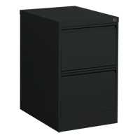 Classeur vertical, Acier, 2 tiroirs, 18-1/7" la x 25" p x 29" h, Noir Northern Industrial Supply Inc.