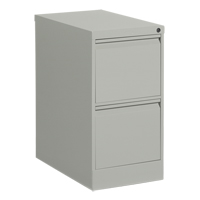 Classeur vertical, Acier, 2 tiroirs, 15-1/7" la x 25" p x 29" h, Gris Northern Industrial Supply Inc.