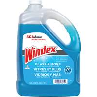 Nettoyant pour vitres Windex avec Ammoniac-D, 3,8 L, Cruche Northern Industrial Supply Inc.