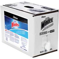 Nettoyant pour vitres Windex avec Ammoniac-D, 5 gal., Sac Northern Industrial Supply Inc.
