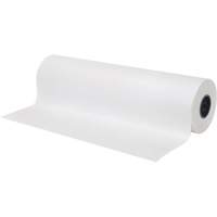 Paper, Newspaper, 12" x 1695', 30 lbs., Roll Northern Industrial Supply Inc.