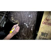 Quik Stik&reg; Twist-Up Paint Markers, Solid Stick, White Northern Industrial Supply Inc.