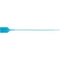 Scell&eacute; de s&eacute;curit&eacute; standard, 12", Plastique, Scell&eacute; en plastique Northern Industrial Supply Inc.