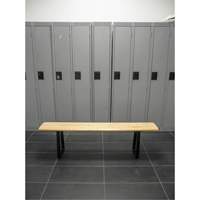 Locker Room Bench, Wood, 48" L x 9-1/2" W x 16-1/2" H Northern Industrial Supply Inc.