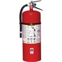 Extincteur d'incendie, ABC, Capacit&eacute; 20 lb Northern Industrial Supply Inc.