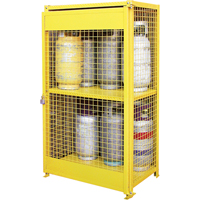 Gas Cylinder Cabinets, 12 Cylinder Capacity, 44" W x 30" D x 74" H, Yellow Northern Industrial Supply Inc.