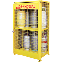 Gas Cylinder Cabinets, 12 Cylinder Capacity, 44" W x 30" D x 74" H, Yellow Northern Industrial Supply Inc.