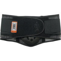 Proflex&reg; 1051 Mesh with Lumbar Pad, Mesh, Small Northern Industrial Supply Inc.
