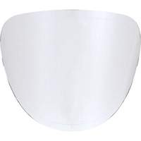 Lentilles de rechange Northern Industrial Supply Inc.