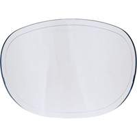 Lentilles de rechange Northern Industrial Supply Inc.