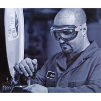 Lunettes de s&eacute;curit&eacute; &agrave; coques Uvex Flex Seal, Lentille 3,0, Antibu&eacute;e, Ventilation Indirecte Northern Industrial Supply Inc.