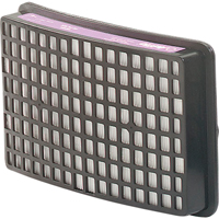 Protection respiratoire Speedglas - Filtres et cartouches de recharge, Filtre P100, Paquet de 2 Northern Industrial Supply Inc.