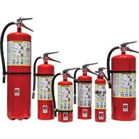 Extincteur d'incendie, ABC, Capacit&eacute; 30 lb Northern Industrial Supply Inc.