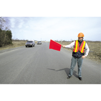 Fanions signalisateurs, Vinyle, Avec manche Northern Industrial Supply Inc.