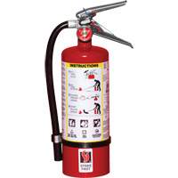 Extincteur d'incendie, ABC, Capacit&eacute; 5 lb Northern Industrial Supply Inc.