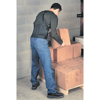 ALLEGRO INDUSTRIES Bodybelt, Elastic, Small Northern Industrial Supply Inc.