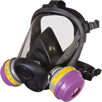 North&reg; RU6500 Series Full Facepiece Respirator, Silicone, Small Northern Industrial Supply Inc.