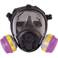 North&reg; RU6500 Series Full Facepiece Respirator, Silicone, Small Northern Industrial Supply Inc.