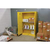 Armoire pour produits inflammables, 45 gal., 2 Porte(s), 43" La x 65" h x 18" p Northern Industrial Supply Inc.