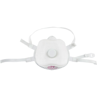 Respirateur contre les particules, P100, Certifi&eacute; NIOSH, Moyen/grand Northern Industrial Supply Inc.