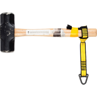Sangle de fixation pour outil Northern Industrial Supply Inc.