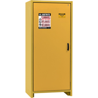 Armoire d'entreposage 30 minutes s&eacute;curitaire et conforme &agrave; la norme EN, 30 gal., 1 Porte(s), 34,02" La x 76,65" h x 24,21" p Northern Industrial Supply Inc.