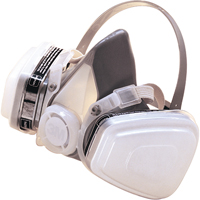 Respirateur jetable &agrave; demi-masque P95 peinture &agrave; pulv&eacute;riser/pesticides, &eacute;lastom&egrave;re/Thermoplastique, Petit Northern Industrial Supply Inc.