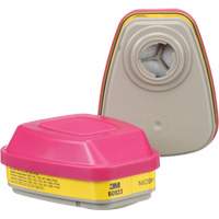 6000 Series Respirator Cartridges, Gas/Vapour Cartridge, Organic Vapour/Acid Gas/P100 Northern Industrial Supply Inc.