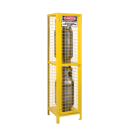 Gas Cylinder Cabinets, 2 Cylinder Capacity, 17" W x 17" D x 69" H, Yellow Northern Industrial Supply Inc.