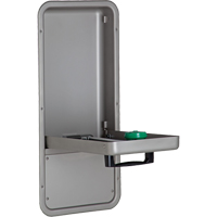 Eye/Face Wash Station, Wall-Mount Installation, Stainless Steel Bowl Northern Industrial Supply Inc.