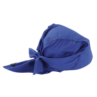 Chill-Its&reg; 6710 Cooling Triangle Hats, Blue Northern Industrial Supply Inc.
