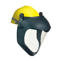 Faceshields