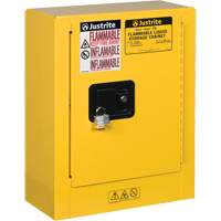 Mini-armoires de s&eacute;curit&eacute; Sure-Grip EX pour produits inflammables, 2 gal., 1 Porte(s), 17" La x 22" h x 8" p Northern Industrial Supply Inc.