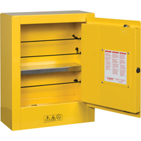 Mini-armoires de s&eacute;curit&eacute; Sure-Grip EX pour produits inflammables, 2 gal., 1 Porte(s), 17" La x 22" h x 8" p Northern Industrial Supply Inc.
