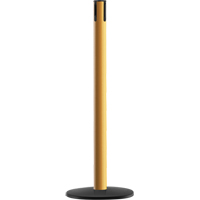 Advance TensaBarrier&reg; - Receiver Post, 36" High, Yellow Northern Industrial Supply Inc.